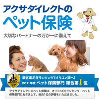 ANTQی uANT_CNgEybgیv