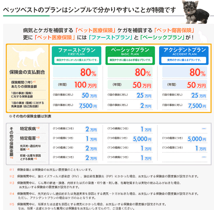 ybcxXgzZی uybcxXgvvڍ