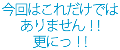 無理なく禁煙！電子たばこシンプルスモーカーミニ 今回はこれだけではありません！更に！