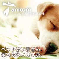 AjR L̕یuǂԂۂӂ݂股v