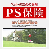 ybgfBJT|[g L̕یuPSیv